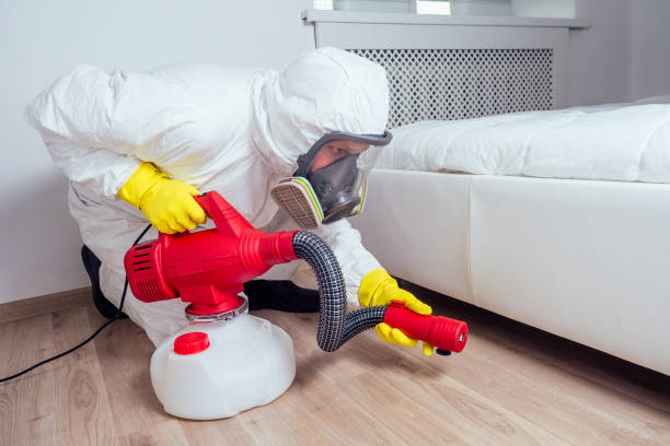 Best Rat Extermination Near Me  in Collinsville, VA