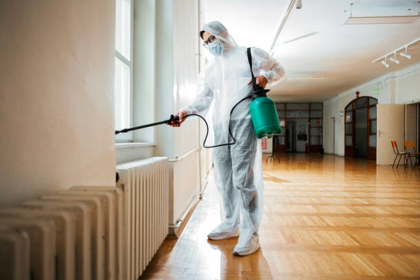 Best Cockroach Control Services  in Collinsville, VA